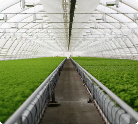 MARWOTO Modern Agriculture Facility