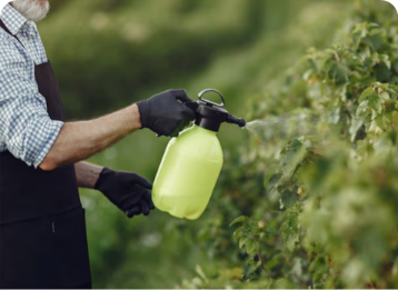 Pupuk Cair Konsentrat