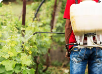 Bio-Pestisida Organik