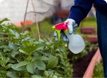 Insektisida Konsentrat